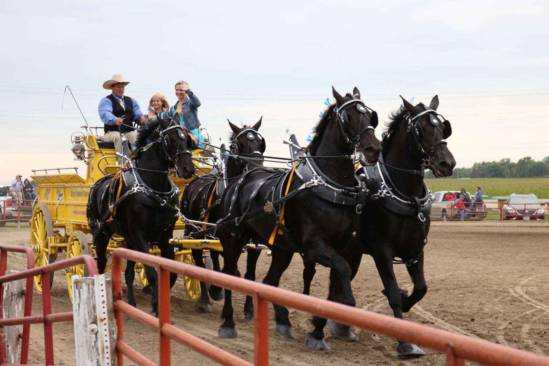 4-Horse Hitch 8